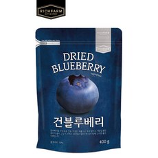 리치팜너트 건블루베리, 400g, 5개