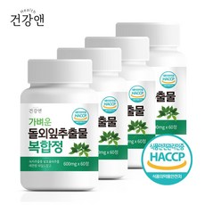 건강앤 HACCP 식약처 인증 돌외잎추출물 녹차추출물 발효율피 레몬밤 와일드망고 함유 2개월분, 60정, 4개