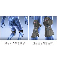 렉스파워렉