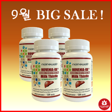 나노웰호베니아