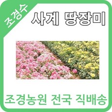 //상품명