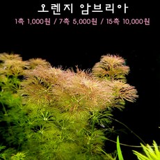5f53bbb657730dfef33c428ba95a0c51add6bb4310e4b4a92cb887cd24af.jpg