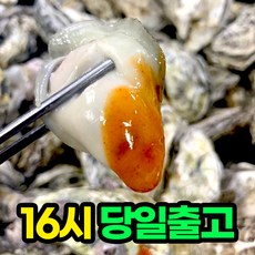 제철 석화 굴 생굴 당일발송 오늘주문 내일도착, 1개, 10kg