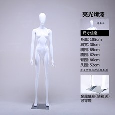 빛전시회