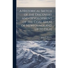 (영문도서) A Historical Sketch of the Discovery and Devolopment of the Coal Areas of Newfoundland up to ... Hardcover, Legare Street Press, English, 9781020947940