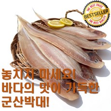 [반건조박대] 지금 주문하면 가장 맛있는 박대를 만나볼 수 있습니다!, 1세트, 1미(대) 5팩/31~33cm