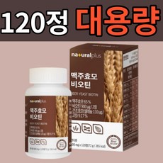 단순당