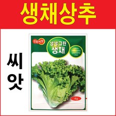 생생그린생채상추씨앗 4g 생채상추씨앗 아삭이상추