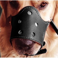 보더콜리입마개