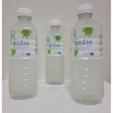 산지직송 신비의섬 청정울릉도 국산 토종 우산고로쇠 500ml(12병 30병) 냉동, 500ml, 30개