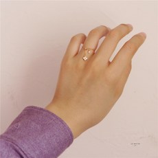 담수반지14