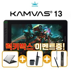 휴이온캄바스13
