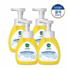 그린핑거핸드워시그린