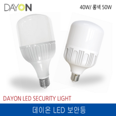 데이온 LED 보안등 40W 6500K 주광색 E39 220V, 1개