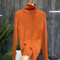 신덕미가 폴라넥 이너셔츠 Q화물 날다 로마 두드리다 미 광주 5W 건 목폴라 자수 왕골 양털 울셔츠 이너티셔츠 N66158