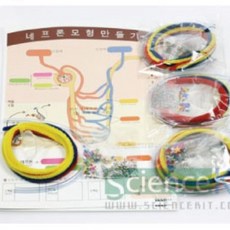 생명과학실험키트