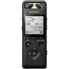 SONY 소니 보이스 레코더 PCM-A10, 블랙