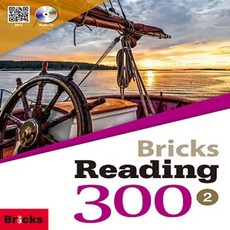 브릭스리딩300