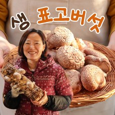 셋째네 생 표고버섯 500g 1kg 알뜰형 실속형 특품 못난이, 1개, 1kg(실속형)