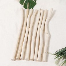 윤앤수자세교정