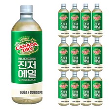 캐나다드라이 진저에일, 450ml, 12개