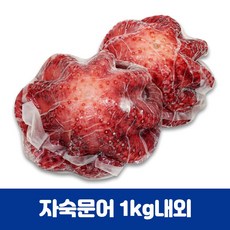 제수변철개