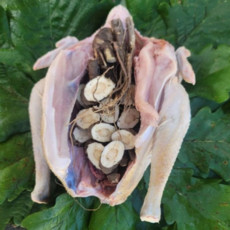 청산벽계 자연에서 자란 청계 냉장생닭, 1개, 1.1kg