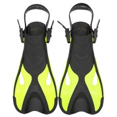 프리다이빙자격증종류