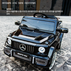 그린전기자동차기사책추천