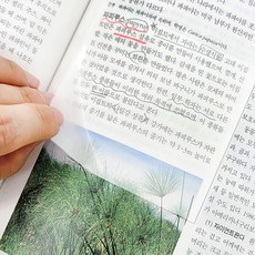 HALFMOON 점착식 오답노트 투명 메모 포스트잇 M 200매 + L 200매 세트, 1세트