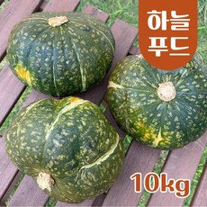 수입산 파지 단호박 못난이 단호박 [원산지:뉴질랜드], 1박스, 10kg