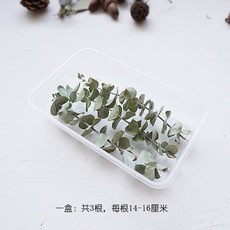 ad737f9b1bfcd47e27cf0240c0565f62d3fe76799840e6e712a022427a0c.jpg