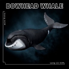 컬렉타북극고래