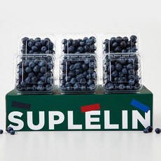 [수플린] 슈퍼푸드 생과 블루베리 750g (125g*6팩), 6개