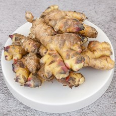 국산햇생강2kg(특품)