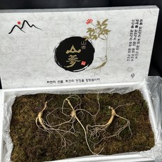 [대한민국진품삼] 국내산 고급 산양삼 삼 장뇌삼 선물용 건강용, 7-8년산 건강용 [5뿌리], 1개, 150g