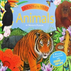 Sounds of the Wild : Animals, Silver Dolphin