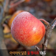 [더야채] 경남 거창 아삭 아삭 달콤한 꿀 햇 부사사과 10KG, (추천) 사과 10KG  41~50과