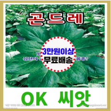 [OK씨앗] [곤드레] 곤드레씨앗 종자(오케이씨앗), 30g