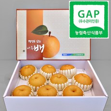 [산지직송] 23년도 수확 GAP인증 나주배 햇배 가정용 정품 선물용 배 선물세트 5kg 7.5kg 15kg, 1박스, 5kg (가정용 5~7과)