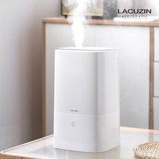 라쿠진가습기
