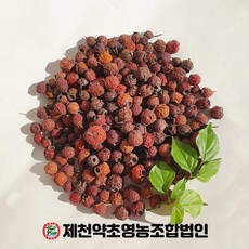 사비백제사