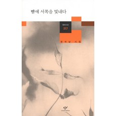 창비신간에세이
