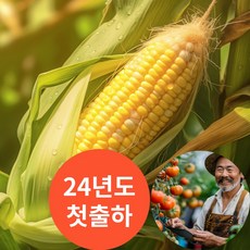 피기푸드 생초당옥수수 고당도 초당옥수수 농장직송