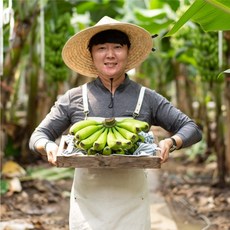  국내산 클로렐라 무농약 유기농 올 바나나 1.5kg 2.5kg, 1개 