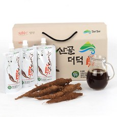 구딧 정선 더덕즙 진액 (100ml x 30포)