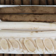 산지직송 국내산 안동 생우엉 햇 우엉 4kg, 1세트
