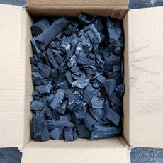 공기정화용숯나무