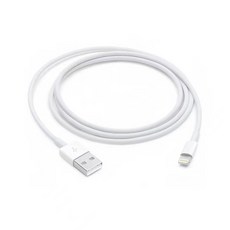 Apple 정품 라이트닝 to USB 케이블 1m, 1개