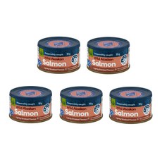 울월스 알래스카 연어 통조림 스모크 Woolworths Salmon Naturally Smoked, 5개, 95g